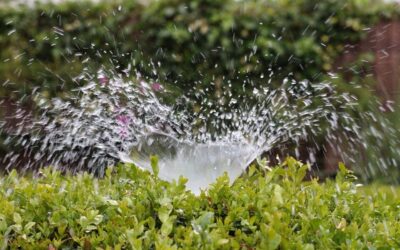 Irrigação na agricultura: métodos e práticas